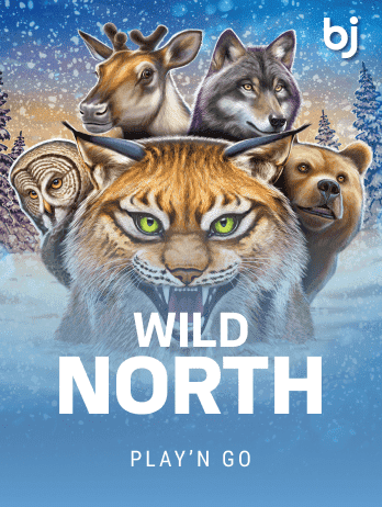 Wild North